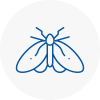 Moth Control Specialists In Inchinnan